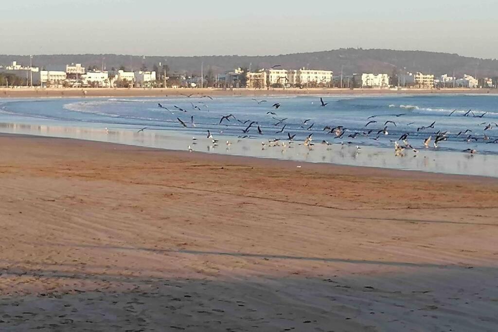 Darsal-Bwindi, Pour Tomber Amoureux D'Essaouira ! Villa Luaran gambar