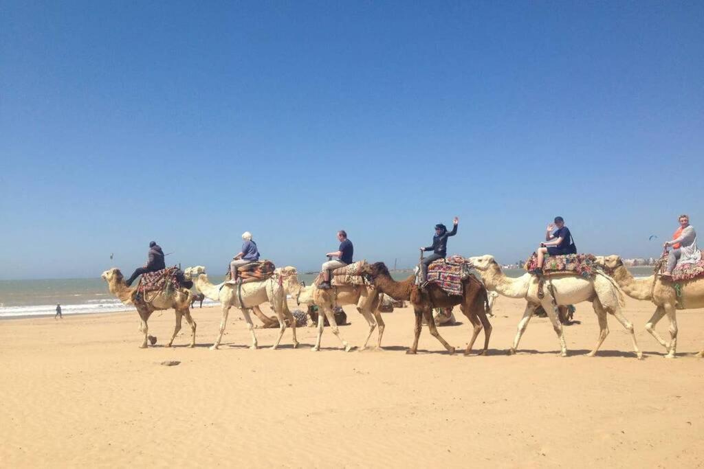 Darsal-Bwindi, Pour Tomber Amoureux D'Essaouira ! Villa Luaran gambar